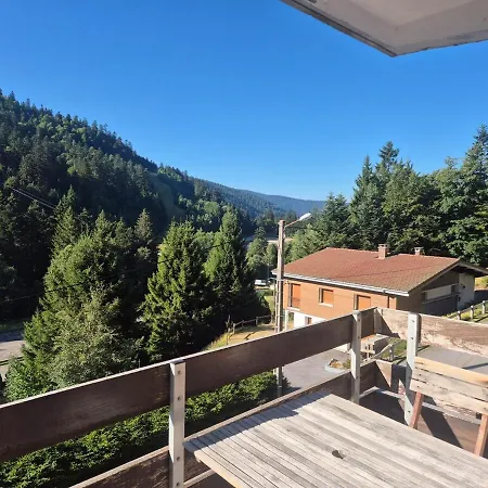 Daire Le Refuge Bressois - 4-person In La Bresse